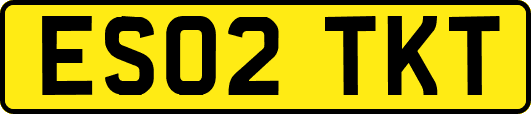 ES02TKT
