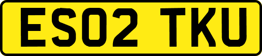 ES02TKU