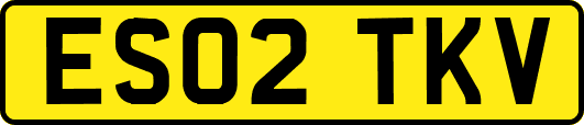 ES02TKV