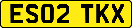 ES02TKX