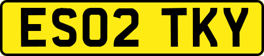 ES02TKY