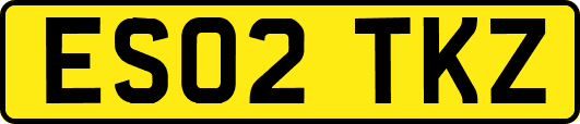 ES02TKZ