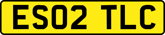 ES02TLC