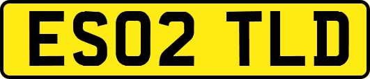 ES02TLD