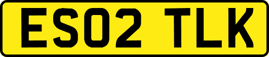 ES02TLK