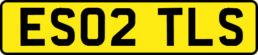 ES02TLS