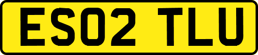 ES02TLU