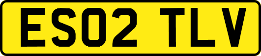 ES02TLV