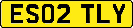 ES02TLY
