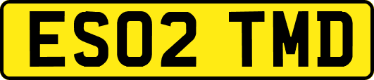 ES02TMD