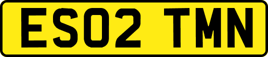 ES02TMN