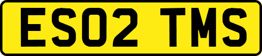 ES02TMS