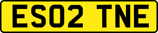 ES02TNE