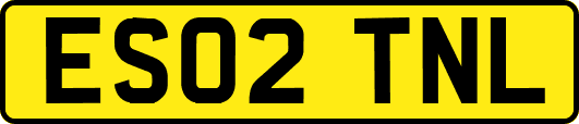 ES02TNL