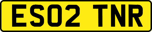 ES02TNR