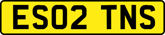 ES02TNS