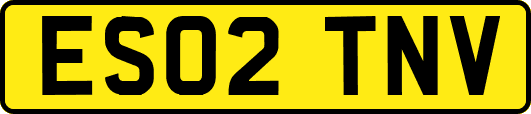 ES02TNV