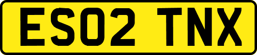 ES02TNX