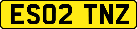 ES02TNZ