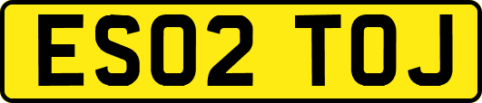 ES02TOJ