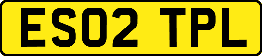ES02TPL