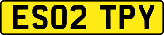 ES02TPY