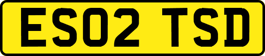 ES02TSD