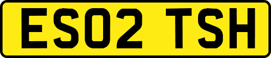 ES02TSH