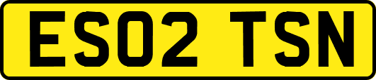 ES02TSN
