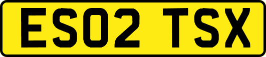 ES02TSX