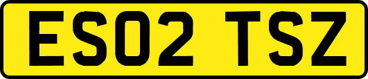 ES02TSZ