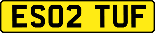 ES02TUF