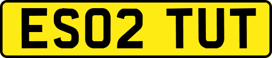 ES02TUT