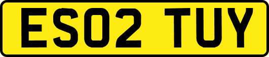 ES02TUY