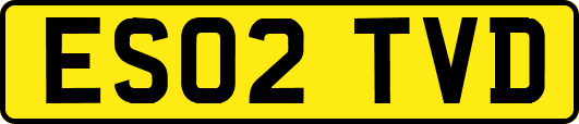 ES02TVD