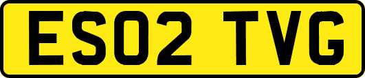 ES02TVG