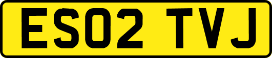 ES02TVJ