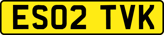 ES02TVK