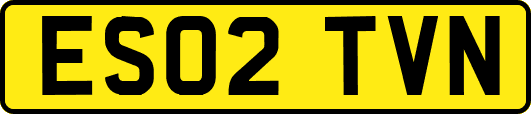 ES02TVN