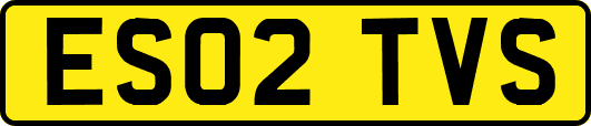 ES02TVS