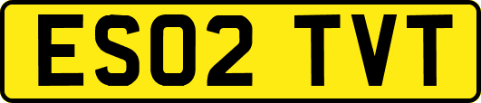 ES02TVT