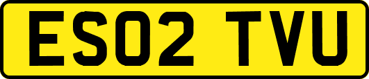 ES02TVU