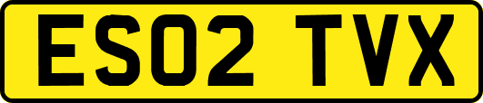 ES02TVX