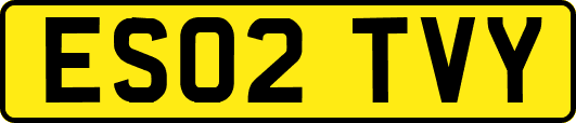 ES02TVY