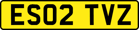 ES02TVZ
