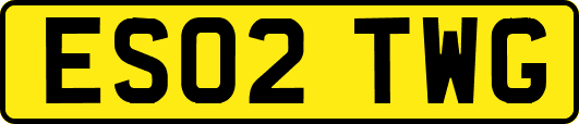 ES02TWG