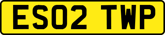 ES02TWP