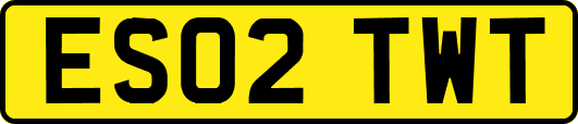 ES02TWT