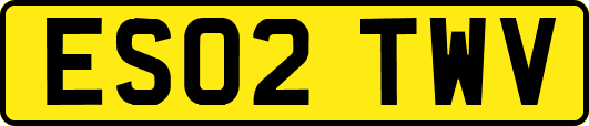 ES02TWV