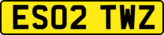 ES02TWZ